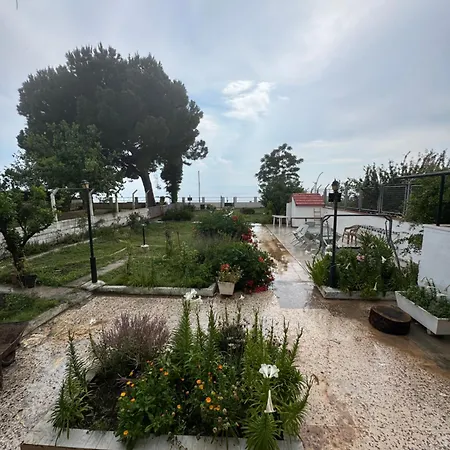 Denize Sifir * Özdere